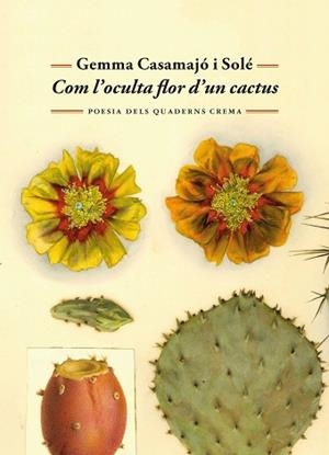 COM L'OCULTA FLOR D'UN CACTUS | 9788477277071 | CASAMAJÓ I SOLÉ, GEMMA | Llibreria L'Illa - Llibreria Online de Mollet - Comprar llibres online