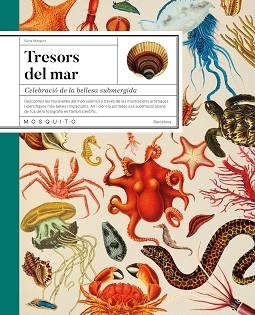 TRESORS DEL MAR | 9788419095756 | MARGARIT, NÚRIA | Llibreria L'Illa - Llibreria Online de Mollet - Comprar llibres online