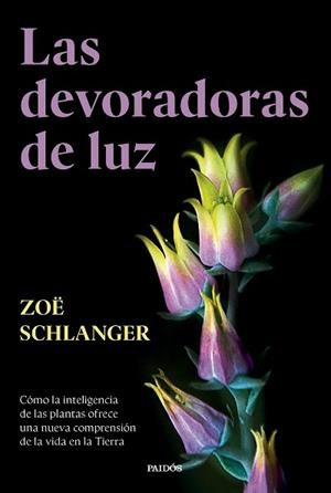 DEVORADORAS DE LUZ, LAS | 9788449343742 | SCHLANGER, ZOË | Llibreria L'Illa - Llibreria Online de Mollet - Comprar llibres online