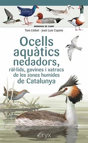 OCELLS AQUÀTICS NEDADORS, RÀL·LIDS, GAVINES I XATRACS DE LES ZONES HUMIDES DE CA | 9788413564883 | COPETE, JOSÉ LUIS | Llibreria L'Illa - Llibreria Online de Mollet - Comprar llibres online