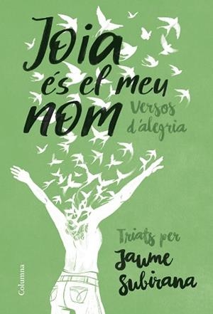 JOIA ÉS EL MEU NOM | 9788466433754 | SUBIRANA, JAUME | Llibreria L'Illa - Llibreria Online de Mollet - Comprar llibres online