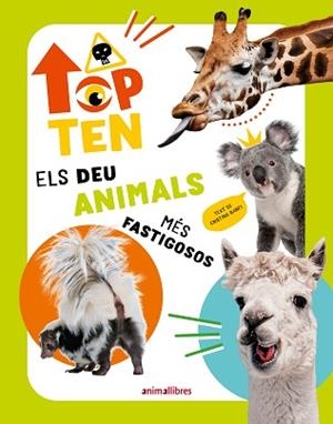 TOP TEN ELS DEU ANIMALS MÉS FASTIGOSOS | 9788410302273 | CRISTINA BANFI | Llibreria L'Illa - Llibreria Online de Mollet - Comprar llibres online