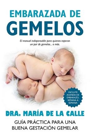 EMBARAZADA DE GEMELOS | 9788416002351 | FERNÁNDEZ, MARÍA DE LA CALLE | Llibreria L'Illa - Llibreria Online de Mollet - Comprar llibres online