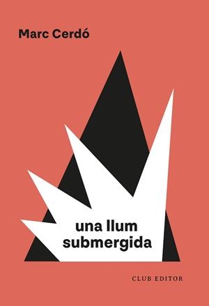 LLUM SUBMERGIDA, UNA | 9788473294751 | CERDÓ, MARC | Llibreria L'Illa - Llibreria Online de Mollet - Comprar llibres online
