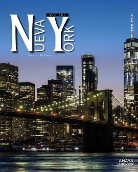 NUEVA YORK VISUAL | 9788491588023 | REBOREDO MANZANARES, SERGI | Llibreria L'Illa - Llibreria Online de Mollet - Comprar llibres online