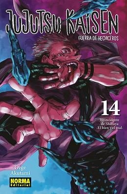JUJUTSU KAISEN 14 | 9788467966909 | AKUTAMI, GEGE