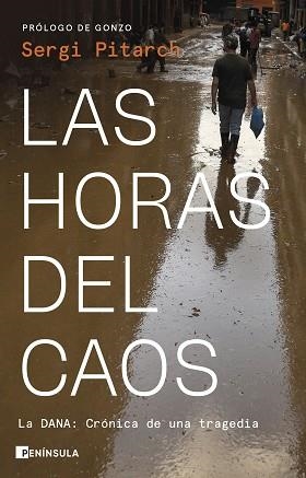 HORAS DEL CAOS, LAS | 9788411004244 | PITARCH, SERGI | Llibreria L'Illa - Llibreria Online de Mollet - Comprar llibres online