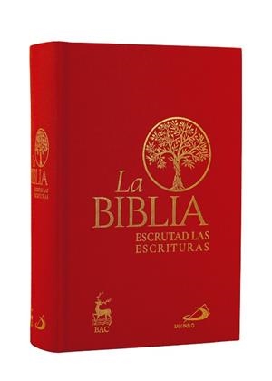 BIBLIA. ESCRUTAD LAS ESCRITURAS - CARTONÉ TELA ROJA | 9788428573283 | VOLTAGGIO, FRANCESCO GIOSUÈ/PEREGO, GIACOMO/PASOTTI, EZECHIELE/FICCO, FABRIZIO/FRAILE YÉCORA, PEDRO | Llibreria L'Illa - Llibreria Online de Mollet - Comprar llibres online