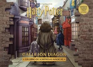 HARRY POTTER: DIAGON ALLEY | 9788448045135 | AA. VV. | Llibreria L'Illa - Llibreria Online de Mollet - Comprar llibres online