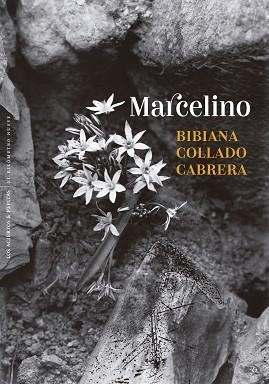 MARCELINO | 9788410476431 | COLLADO CABRERA, BIBIANA | Llibreria L'Illa - Llibreria Online de Mollet - Comprar llibres online