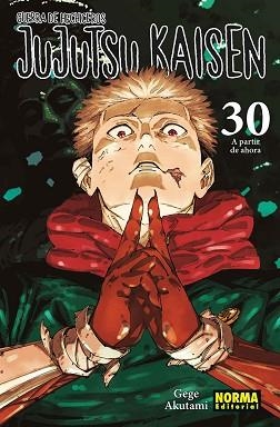 JUJUTSU KAISEN 30 | 9788467975833 | AKUTAMI, GEGE | Llibreria L'Illa - Llibreria Online de Mollet - Comprar llibres online