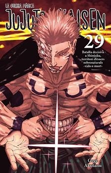 JUJUTSU KAISEN 29 CATALA | 9788467976274 | AKUTAMI, GEGE | Llibreria L'Illa - Llibreria Online de Mollet - Comprar llibres online