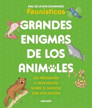 GRANDES ENIGMAS DE LOS ANIMALES (COLECCIÓN GRANDES ENIGMAS) | 9788427253698 | DE LA RIVA DOMÍNGUEZ (FAUNÍSTICOS), ÉRIC