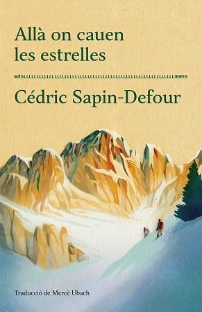 ALLÀ ON CAUEN LES ESTRELLES | 9788417353711 | CÉDRIC SAPIN-DEFOUR | Llibreria L'Illa - Llibreria Online de Mollet - Comprar llibres online