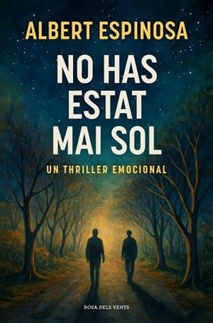 NO HAS ESTAT MAI SOL | 9788410256170 | ESPINOSA, ALBERT | Llibreria L'Illa - Llibreria Online de Mollet - Comprar llibres online