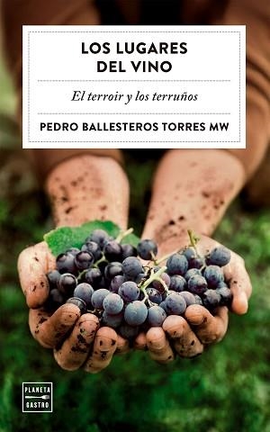 LUGARES DEL VINO, LOS | 9788408323051 | BALLESTEROS TORRES, PEDRO | Llibreria L'Illa - Llibreria Online de Mollet - Comprar llibres online