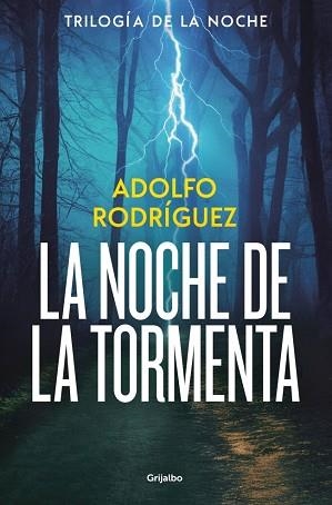 NOCHE DE LA TORMENTA, LA | 9788425374227 | RODRÍGUEZ, ADOLFO | Llibreria L'Illa - Llibreria Online de Mollet - Comprar llibres online