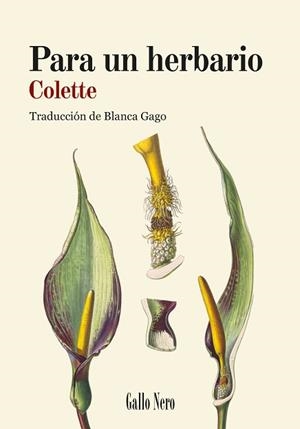 PARA UN HERBARIO | 9788419168887 | COLETTE, SIDONIE-GABRIELLE | Llibreria L'Illa - Llibreria Online de Mollet - Comprar llibres online