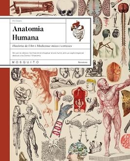 ANATOMIA HUMANA | 9788410417724 | CASSANY, MIA | Llibreria L'Illa - Llibreria Online de Mollet - Comprar llibres online