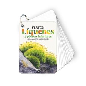LÍQUENES Y PLANTAS INFERIORES | 9788410407619 | SANJUAN LLORENS, ANNA/NOGUÉS, ALEX | Llibreria L'Illa - Llibreria Online de Mollet - Comprar llibres online