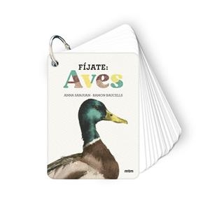 AVES | 9788410407633 | SANJUAN LLORENS, ANNA/BAUCELLS COLOMER, RAMON | Llibreria L'Illa - Llibreria Online de Mollet - Comprar llibres online