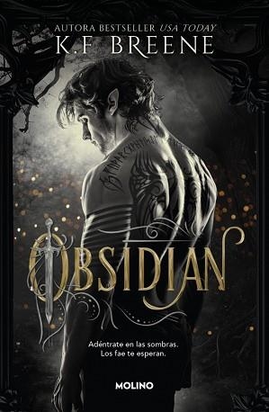 FAE DE LAS SOMBRAS 1 - OBSIDIAN | 9788427257290 | BREENE, K.F. | Llibreria L'Illa - Llibreria Online de Mollet - Comprar llibres online