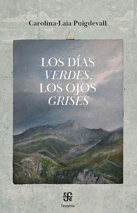 DÍAS VERDES LOS OJOS GRISES, LOS | 9788437508658 | PUIGDEVALL CLAVER, CAROLINA-LAIA | Llibreria L'Illa - Llibreria Online de Mollet - Comprar llibres online