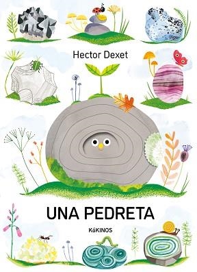 PEDRETA, UNA | 9791387686413 | DEXET, HECTOR | Llibreria L'Illa - Llibreria Online de Mollet - Comprar llibres online