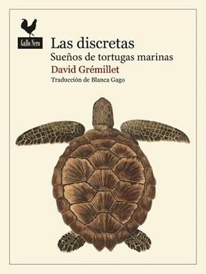 DISCRETAS, LAS | 9788419168986 | GRÉMILLET, DAVID | Llibreria L'Illa - Llibreria Online de Mollet - Comprar llibres online