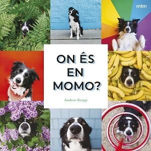 ON ÉS EN MOMO? | 9788410407893 | KNAPP, ANDREW | Llibreria L'Illa - Llibreria Online de Mollet - Comprar llibres online