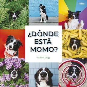 DÓNDE ESTÁ MOMO? | 9788410407909 | KNAPP, ANDREW | Llibreria L'Illa - Llibreria Online de Mollet - Comprar llibres online