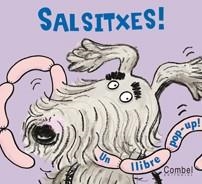 SALSITXES | 9788498254648 | BENJAMIN, A. H.