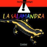 SALAMANDRA | 9788498254495 | VARIOS AUTORES | Llibreria L'Illa - Llibreria Online de Mollet - Comprar llibres online