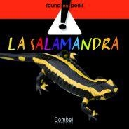 SALAMANDRA, LA | 9788498254501 | VARIOS AUTORES | Llibreria L'Illa - Llibreria Online de Mollet - Comprar llibres online