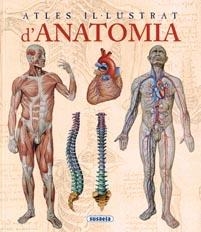 ANATOMIA | 9788467702101 | RIGUTTI, ADRIANA | Llibreria L'Illa - Llibreria Online de Mollet - Comprar llibres online