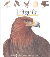 AGUILA, L` | 9788476298220 | Llibreria L'Illa - Llibreria Online de Mollet - Comprar llibres online