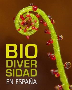 BIODIVERSIDAD EN ESPAÑA | 9788497856317 | ARAUJO, JOAQUIN | Llibreria L'Illa - Llibreria Online de Mollet - Comprar llibres online
