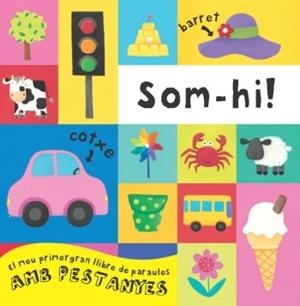 SOM-HI! | 9788499320557 | DIVERSOS AUTORS