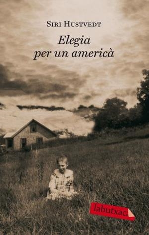 ELEGIA PER UN AMERICÀ | 9788499301297 | HUSTVEDT, SIRI | Llibreria L'Illa - Llibreria Online de Mollet - Comprar llibres online