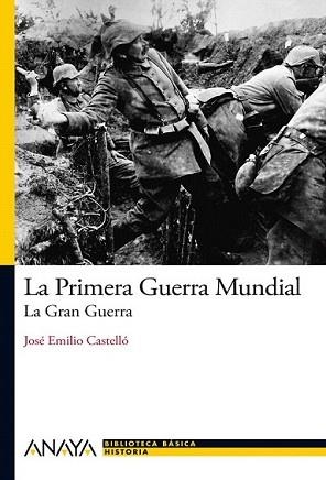 PRIMERA GUERRA MUNDIAL, LA | 9788466794107 | CASTELLÓ, JOSÉ EMILIO