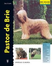 PASTOR DE BRIE (EXCELLENCE) | 9788425515255 | SCOTT, DESIREE