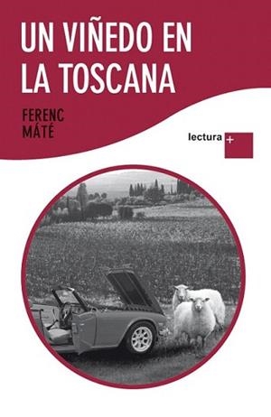 VIÑEDO EN LA TOSCANA, UN | 9788432298462 | MATE, FERENC | Llibreria L'Illa - Llibreria Online de Mollet - Comprar llibres online