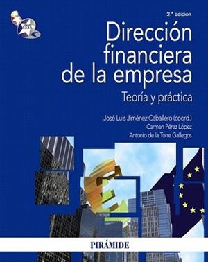 DIRECCIÓN FINANCIERA DE LA EMPRESA | 9788436822984 | JIMÉNEZ CABALLERO, JOSÉ LUIS/PÉREZ LÓPEZ, CARMEN/T