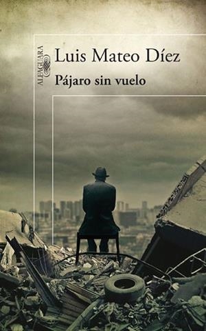 PÁJARO SIN VUELO | 9788420474984 | MATEO DÍEZ, LUIS