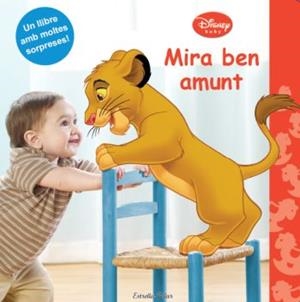 MIRA BEN AMUNT | 9788499324586 | DIVERSOS AUTORS