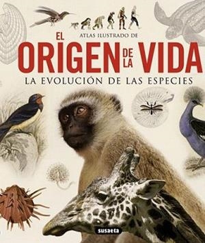 ORIGEN DE LA VIDA, EL | 9788467713336 | MASSA, RENATO | Llibreria L'Illa - Llibreria Online de Mollet - Comprar llibres online