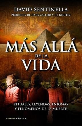 MÁS ALLÁ DE LA VIDA | 9788448069049 | SENTINELLA, DAVID