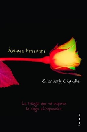 ÀNIMES BESSONES | 9788466415101 | CHANDLER, ELIZABETH | Llibreria L'Illa - Llibreria Online de Mollet - Comprar llibres online