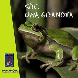 SÓC UNA GRANOTA | 9788448931063 | EDITORIAL BARCANOVA