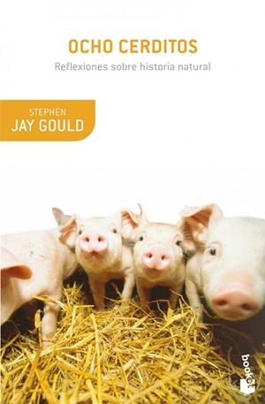 OCHO CERDITOS | 9788408008903 | STEPHEN JAY GOULD | Llibreria L'Illa - Llibreria Online de Mollet - Comprar llibres online